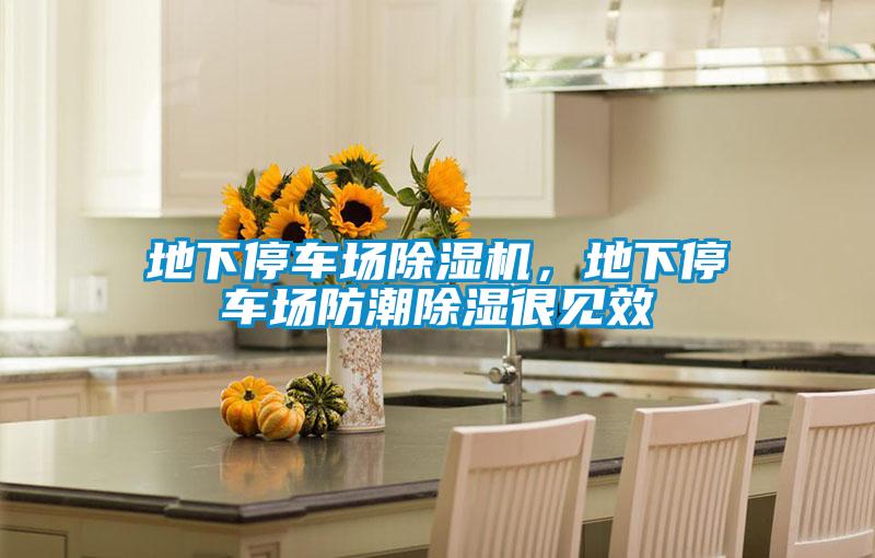 地下停车场除湿机,地下停车场防潮除湿很见效