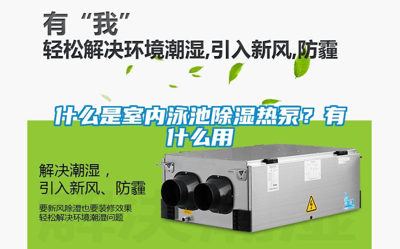 什么是室内泳池除湿热泵?有什么用