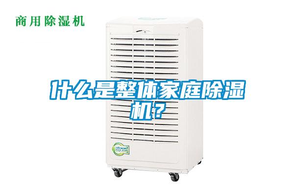什么是整体家庭除湿机?