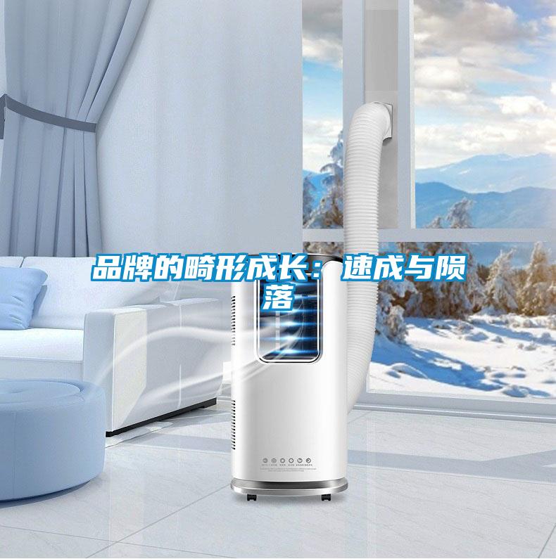 品牌的畸形成长:速成与陨落