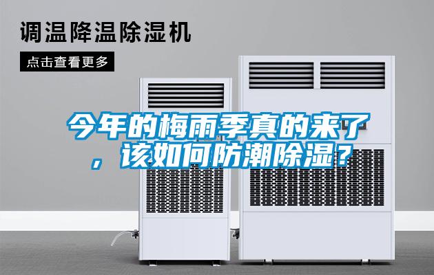 今年的梅雨季真的来了,该如何防潮除湿?