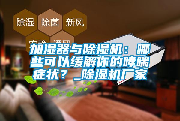 加湿器与除湿机:哪些可以缓解你的哮喘症状?_除湿机厂家