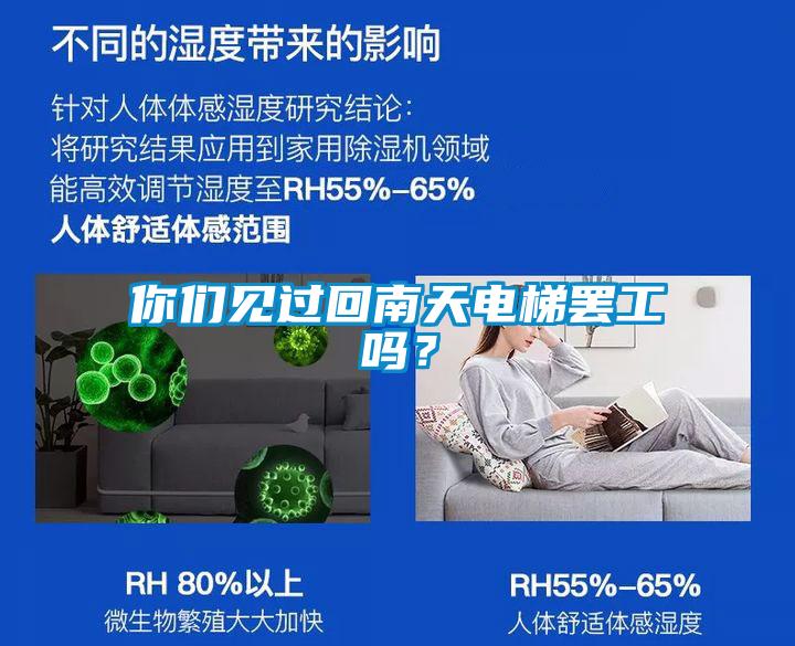 你们见过回南天电梯罢工吗?