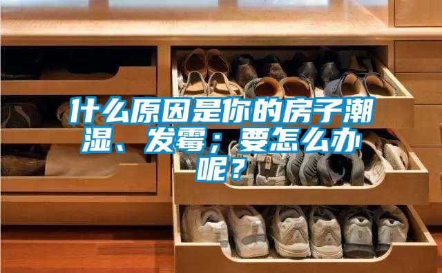 什么原因是你的房子潮湿、发霉;要怎么办呢?