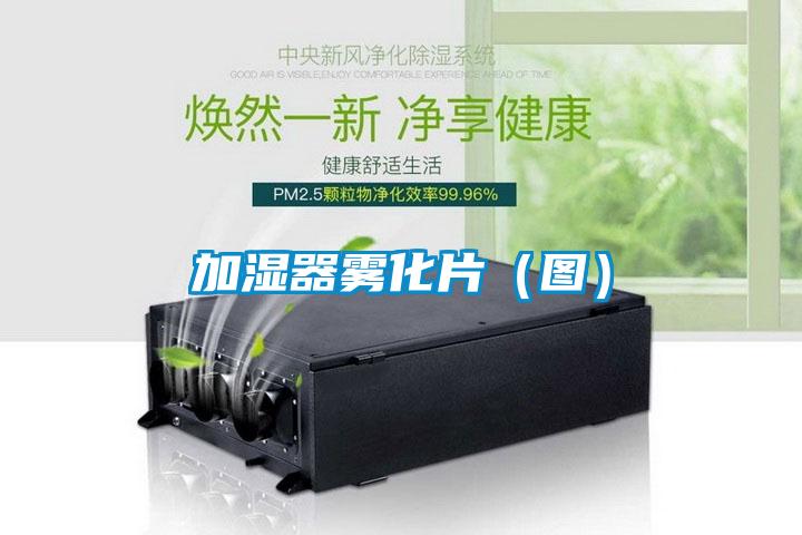 加湿器雾化片(图)