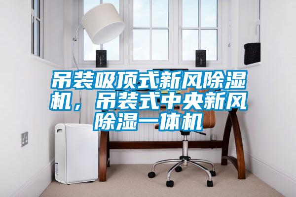吊装吸顶式新风除湿机,吊装式中央新风除湿一体机