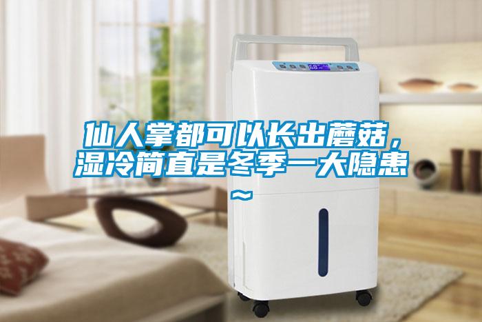 仙人掌都可以长出蘑菇,湿冷简直是冬季一大隐患~