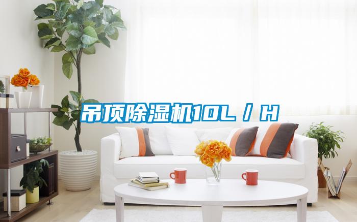 吊顶除湿机10L/H