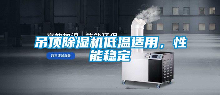 吊顶除湿机低温适用,性能稳定