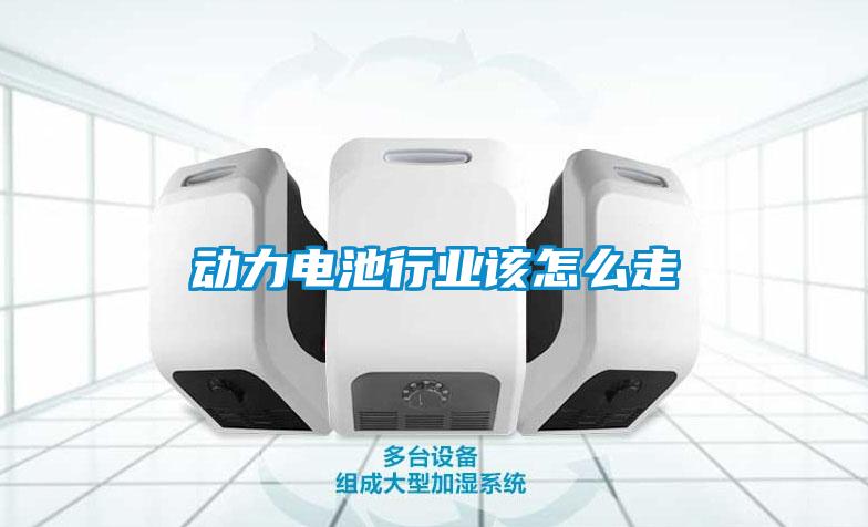 动力电池行业该怎么走
