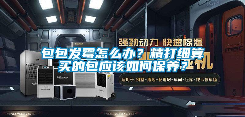 包包发霉怎么办?精打细算买的包应该如何保养?