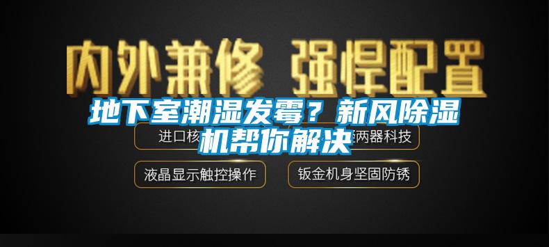 地下室潮湿发霉?新风除湿机帮你解决
