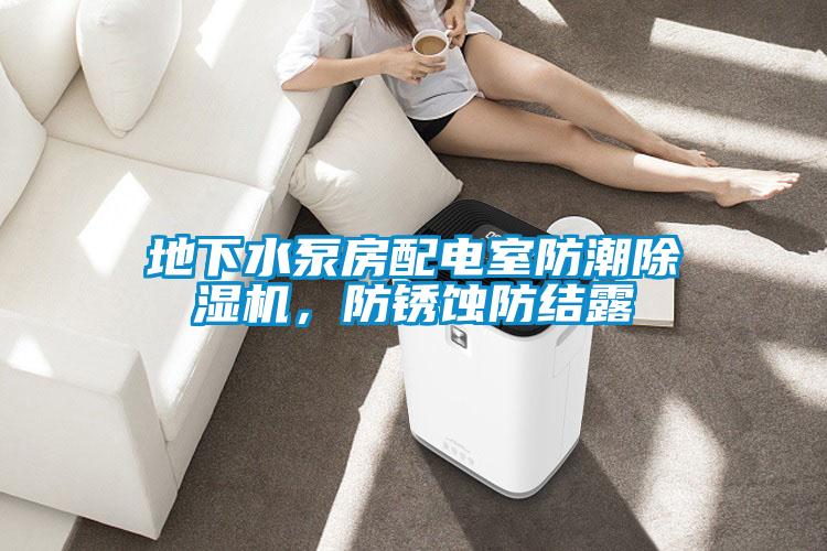 地下水泵房配电室防潮除湿机,防锈蚀防结露