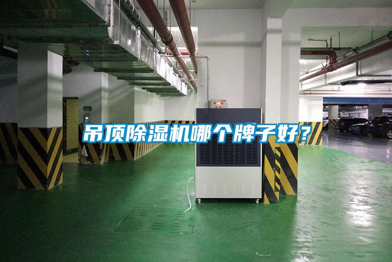 吊顶除湿机哪个牌子好?