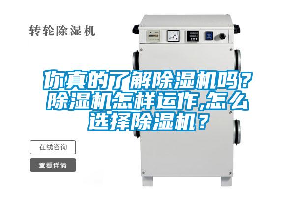 你真的了解除湿机吗?除湿机怎样运作,怎么选择除湿机?