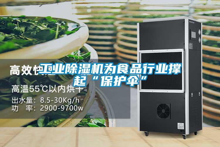 工业除湿机为食品行业撑起“保护伞”