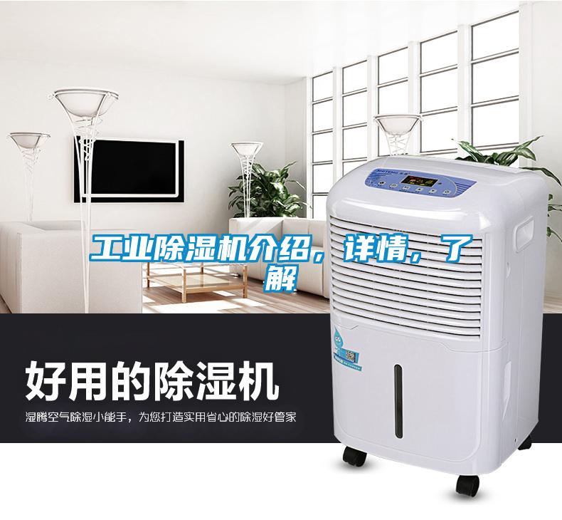 工业除湿机介绍,详情,了解