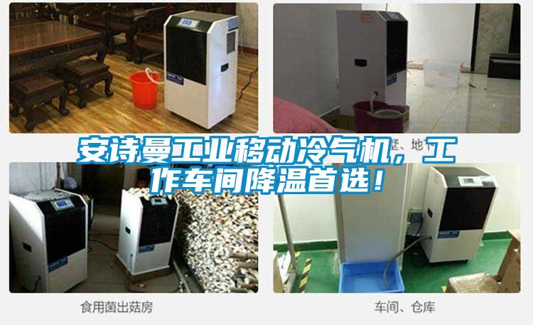 安诗曼工业移动冷气机,工作车间降温首选!