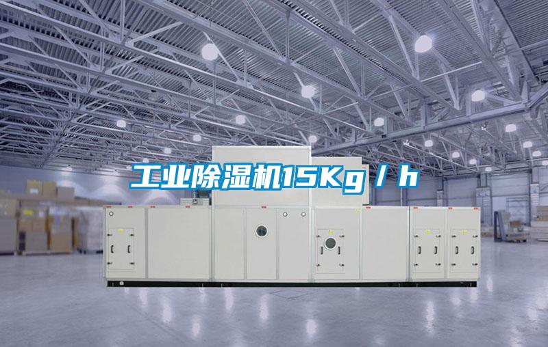 工业除湿机15Kg/h