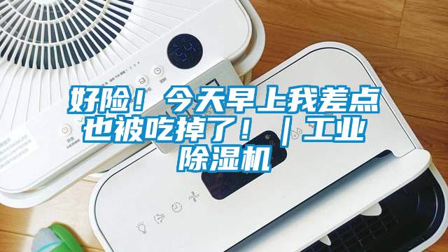 好险!今天早上我差点也被吃掉了!|工业除湿机