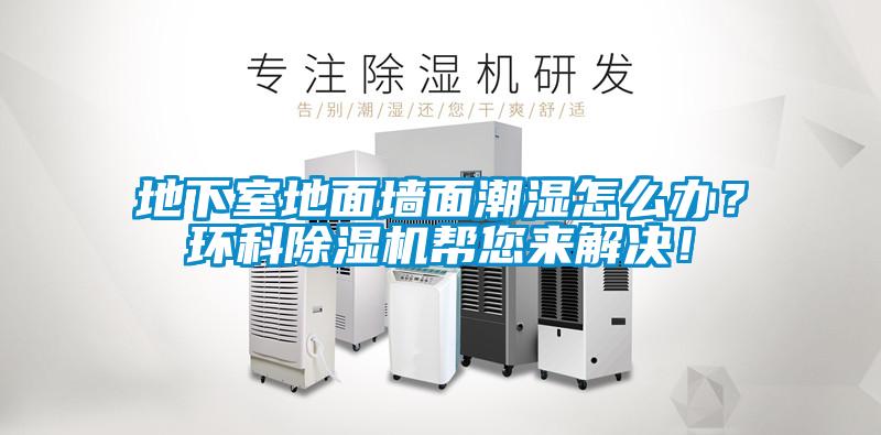 地下室地面墙面潮湿怎么办?环科除湿机帮您来解决!