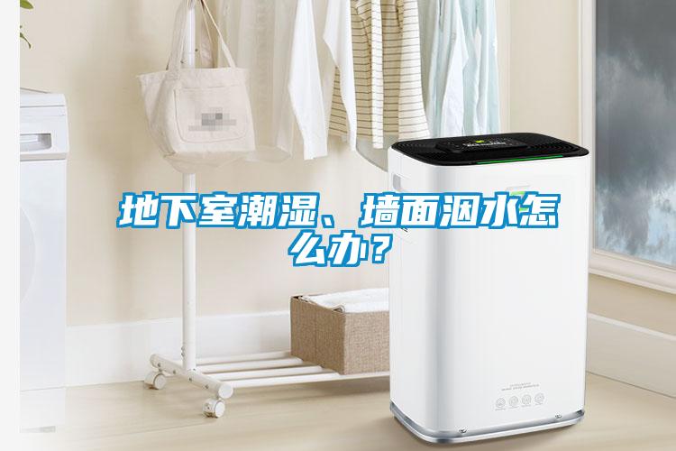 地下室潮湿、墙面洇水怎么办?