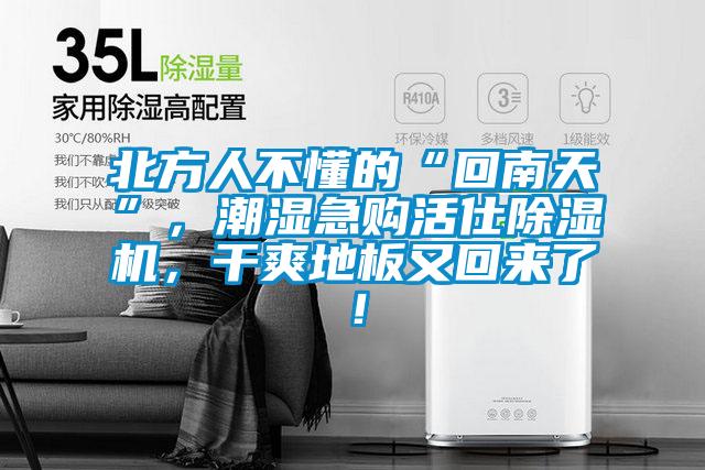 北方人不懂的“回南天”,潮湿急购活仕除湿机,干爽地板又回来了!