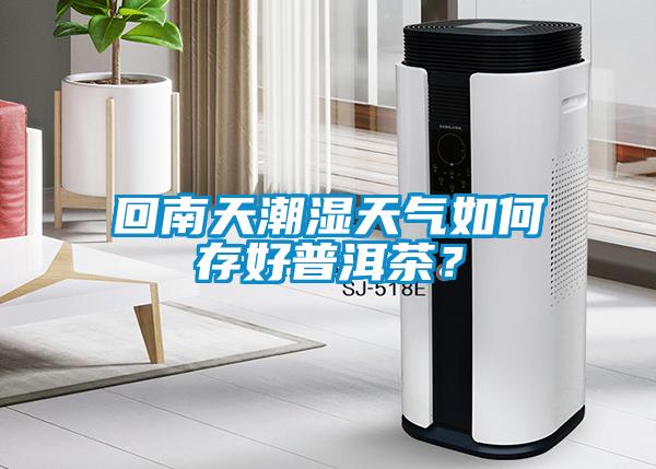 回南天潮湿天气如何存好普洱茶?