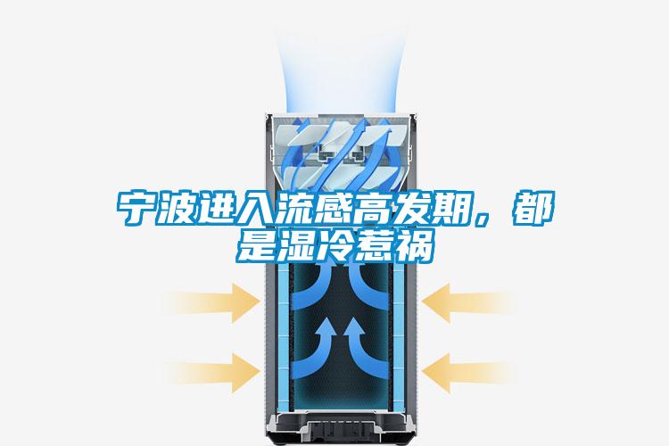 宁波进入流感高发期,都是湿冷惹祸