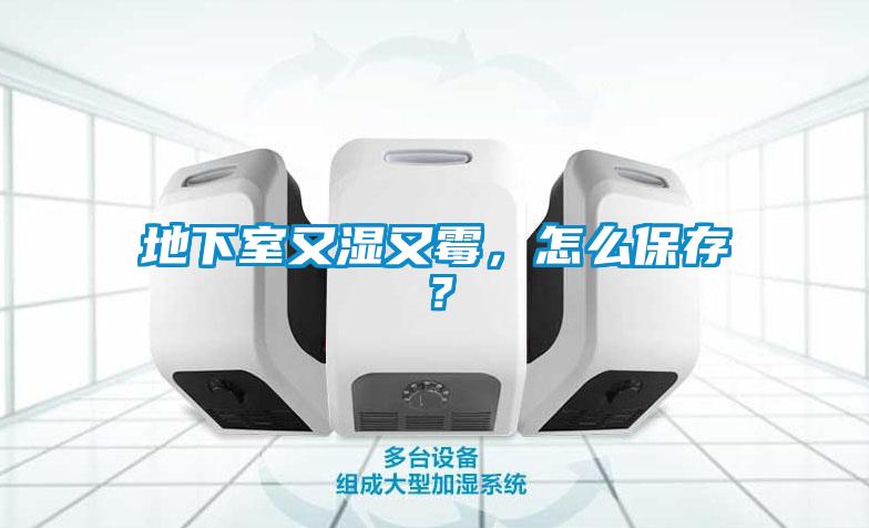 地下室又湿又霉,怎么保存?