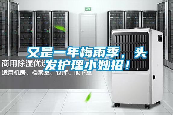 又是一年梅雨季,头发护理小妙招!