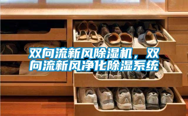 双向流新风除湿机,双向流新风净化除湿系统