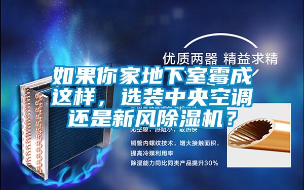 如果你家地下室霉成这样,选装中央空调还是新风除湿机?