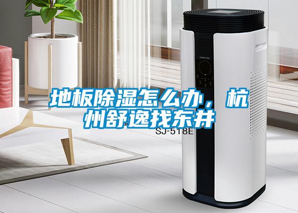 地板除湿怎么办,杭州舒逸找东井