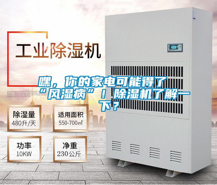 嘿,你的家电可能得了“风湿病”!除湿机了解一下?