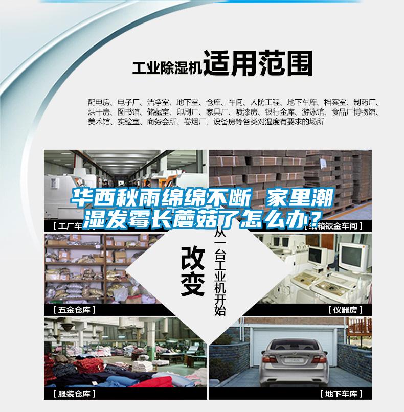 华西秋雨绵绵不断 家里潮湿发霉长蘑菇了怎么办?