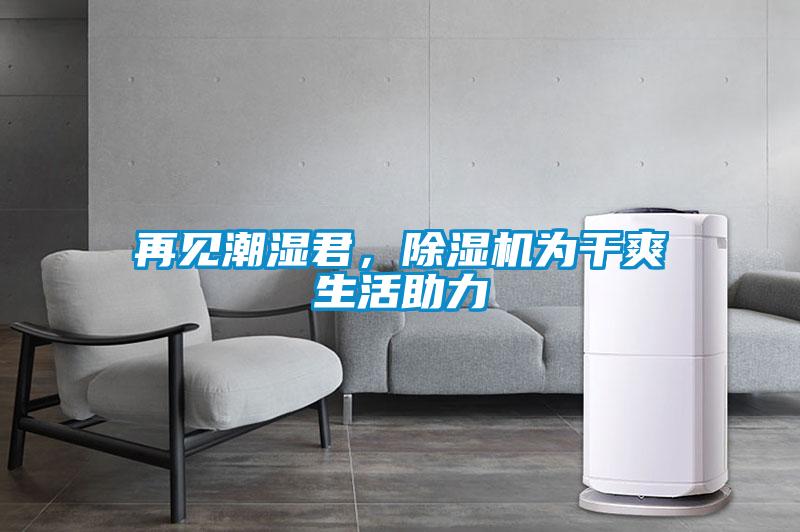 再见潮湿君,除湿机为干爽生活助力