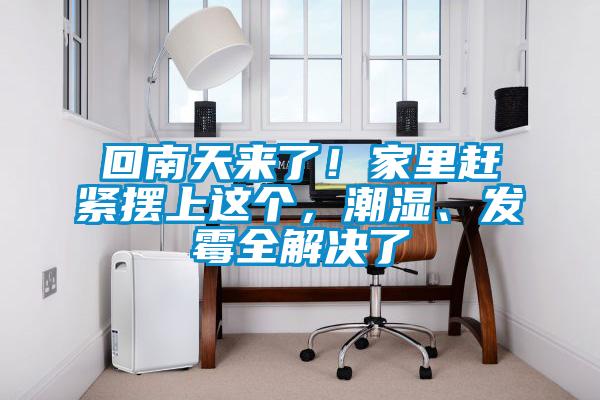 回南天来了!家里赶紧摆上这个,潮湿、发霉全解决了
