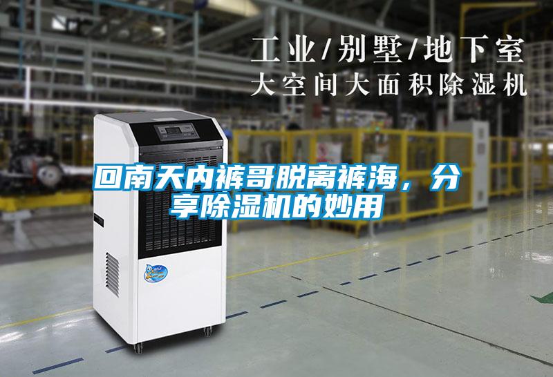 回南天内裤哥脱离裤海,分享除湿机的妙用