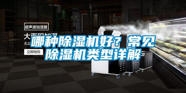 哪种除湿机好?常见除湿机类型详解