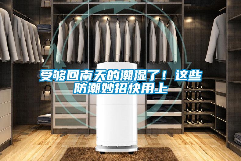 受够回南天的潮湿了!这些防潮妙招快用上