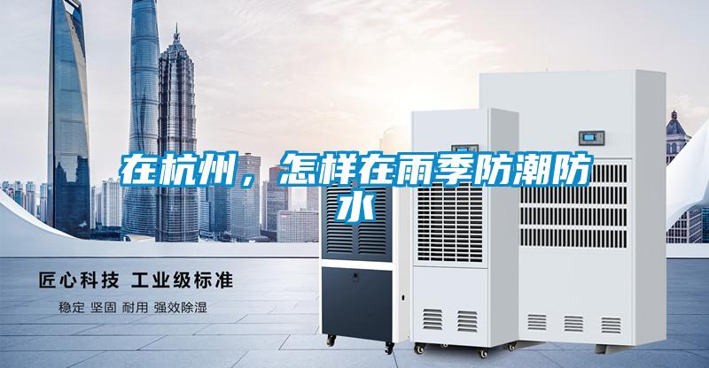 在杭州,怎样在雨季防潮防水