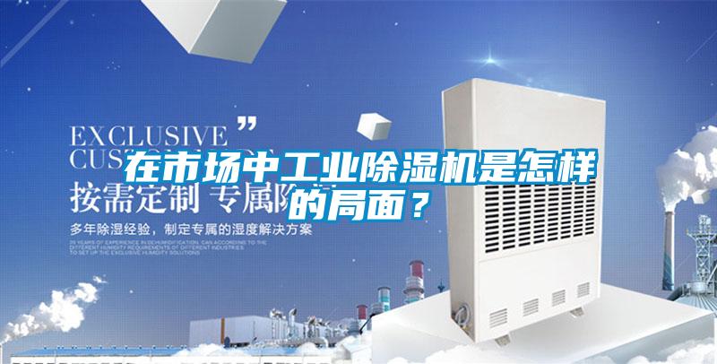 在市场中工业除湿机是怎样的局面?