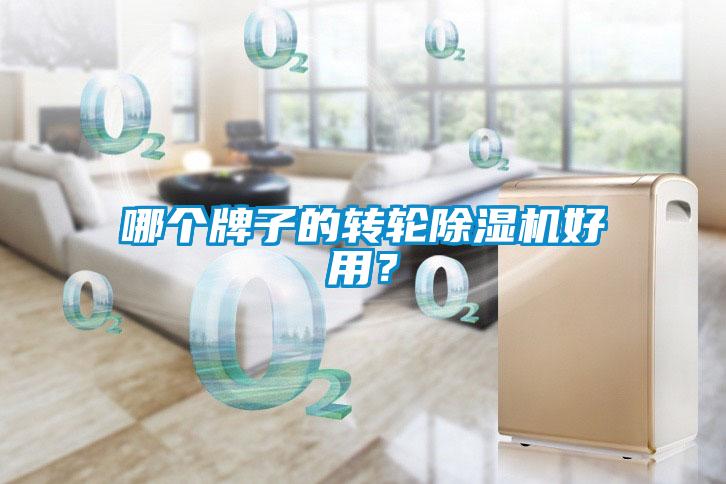 哪个牌子的转轮除湿机好用?
