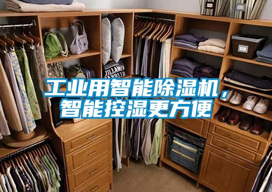 工业用智能除湿机,智能控湿更方便