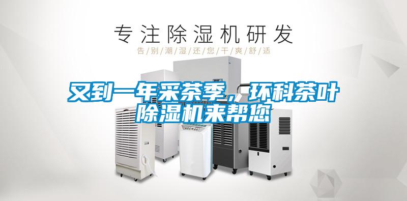 又到一年采茶季,环科茶叶除湿机来帮您