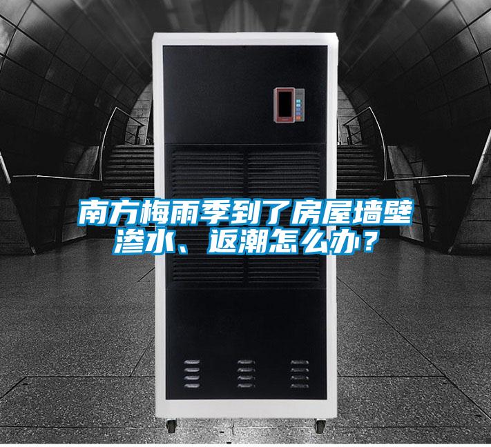 南方梅雨季到了房屋墙壁渗水、返潮怎么办?