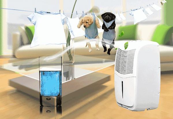 变革:抽湿器厂家驱动转型 关键促创新