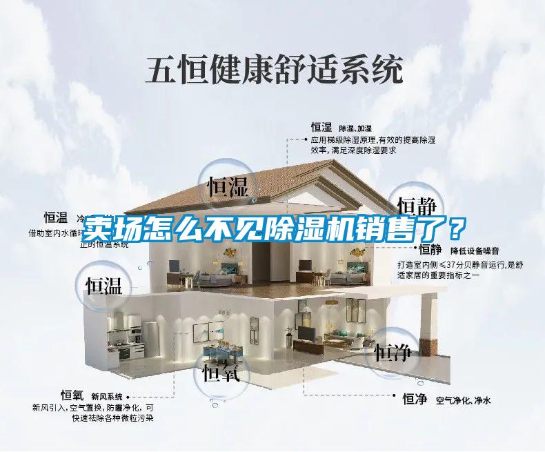 卖场怎么不见除湿机销售了?