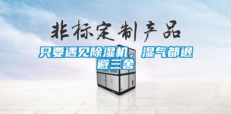 只要遇见除湿机,湿气都退避三舍